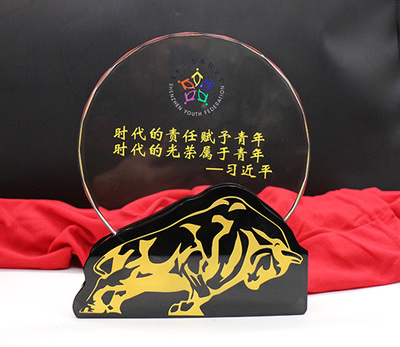 创意水晶奖杯制作款式【青少年协会水晶奖杯定制】
